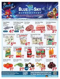 Blue Sky Supermarket flyer week 25 Page 1