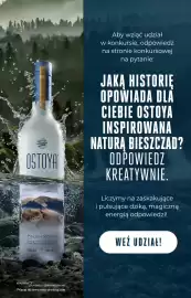 Biedronka gazetka | Alkohole Strona 3