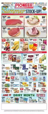 Pioneer (valid until 20-06)