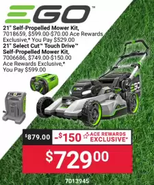 Ace Hardware flyer Page 174