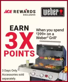 Ace Hardware flyer Page 2