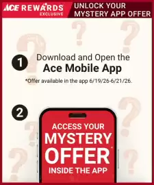 Ace Hardware flyer Page 4