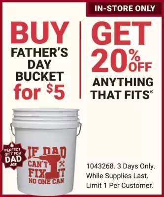 Ace Hardware flyer