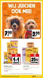 Jumbo folder week 26 Pagina 42