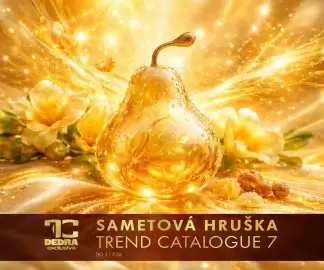 Dedra leták Strana 1