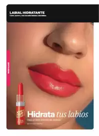 Catálogo Avon Página 49
