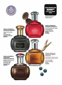 Catálogo Avon Página 62