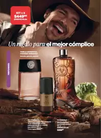 Catálogo Avon Página 67
