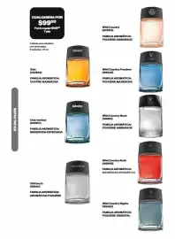 Catálogo Avon Página 77