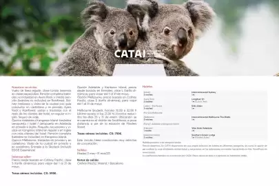 Catálogo Catai Página 117