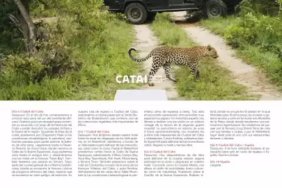 Catálogo Catai Página 52