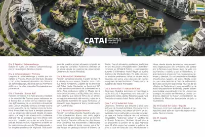Catálogo Catai Página 55