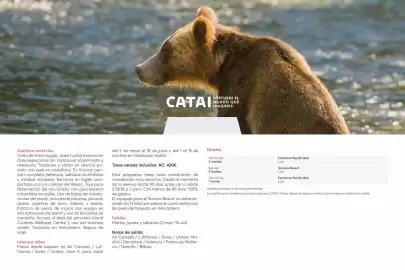 Catálogo Catai Página 97