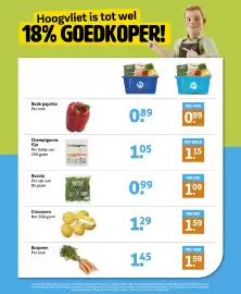 Hoogvliet folder week 26 Pagina 14