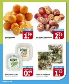 Hoogvliet folder week 26 Pagina 16
