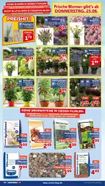 CENTERSHOP Prospekt woche 26 Seite 10