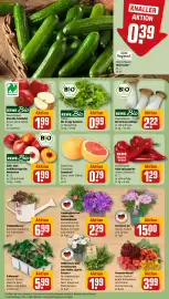 REWE DE tilbudsavis uge 26 Side 5