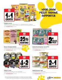 Jumbo folder week 26 Pagina 17