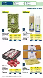 METRO Prospekt woche 26 Seite 40