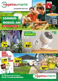 Hagebau Prospekt woche 25 Seite 1