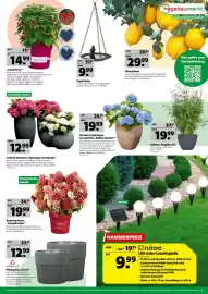 Hagebau Prospekt woche 25 Seite 3