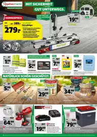 Hagebau Prospekt woche 25 Seite 6