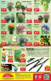 Zimmermann Prospekt woche 26 Seite 10