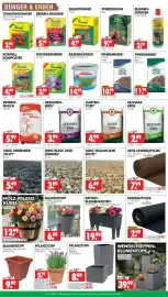 Wreesmann Prospekt Seite 4