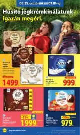 Lidl akciós újság hét 26 Oldal 20