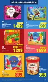 Lidl akciós újság hét 26 Oldal 21