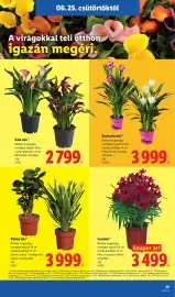 Lidl akciós újság hét 26 Oldal 39