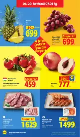 Lidl akciós újság hét 26 Oldal 60
