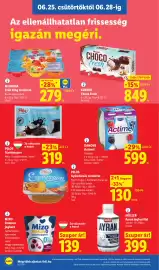 Lidl akciós újság hét 26 Oldal 8