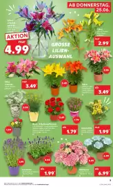 Kaufland Prospekt woche 26 Seite 5