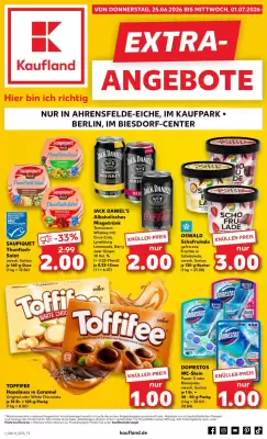 Kaufland (gültig bis 1-07)