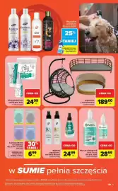 Carrefour gazetka Strona 15
