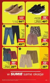Carrefour gazetka Strona 13