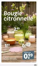 Catalogue Wibra page 7
