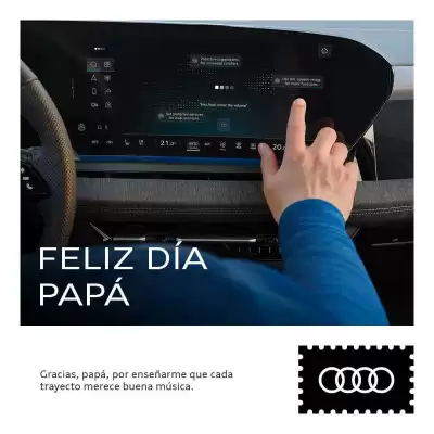 Audi (válido hasta 31-07)