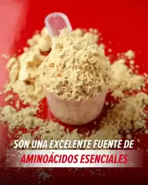 Catálogo GNC Página 3