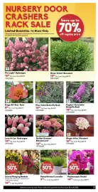 Sheridan Nurseries flyer Page 2