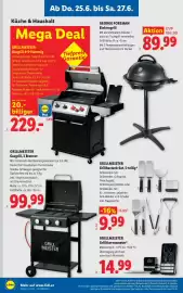 Lidl Flugblatt woche 26 Seite 22