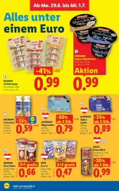 Lidl Flugblatt woche 26 Seite 43