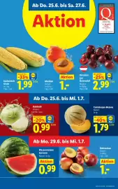 Lidl Flugblatt woche 26 Seite 5