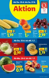 Lidl Flugblatt woche 26 Seite 5