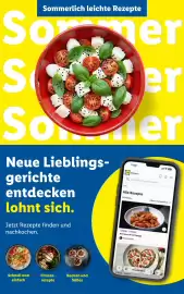 Lidl Flugblatt woche 26 Seite 51