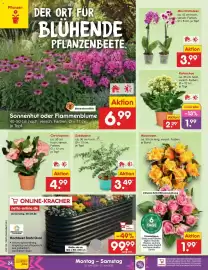 Netto Marken-Discount DE folder week 26 Pagina 34