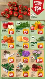 REWE Prospekt woche 26 Seite 9