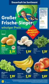 Lidl Prospekt Seite 12