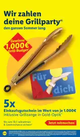 Lidl Prospekt Seite 17